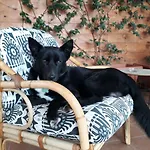 B&B Ai Tre Archi 스포토르노