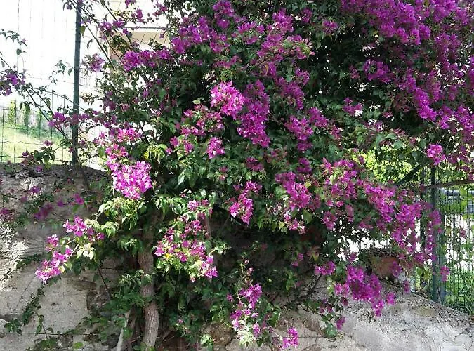 Ai Tre Archi 스포토르노