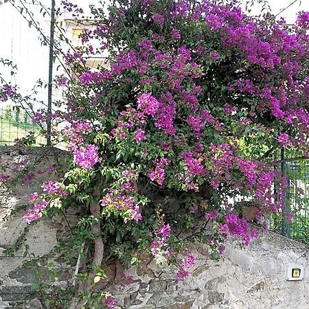 Bed & Breakfast Ai Tre Archi Spotorno