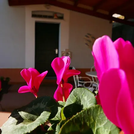 Ai Tre Archi Bed & Breakfast *