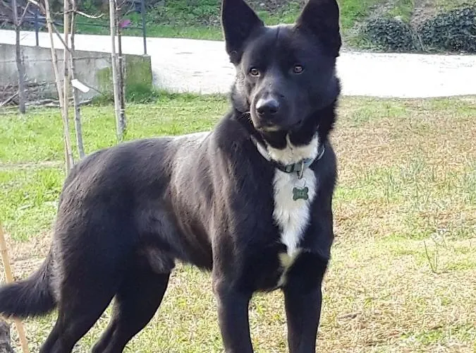 Frühstückspension Ai Tre Archi Spotorno